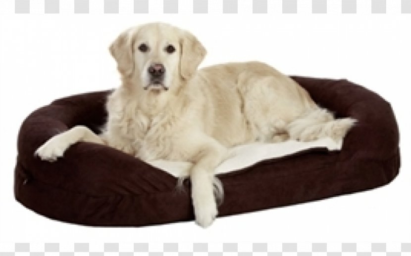 Bed Dog Orthopaedics Orthopedic Mattress Oval - Size - Golden Retriever Transparent PNG