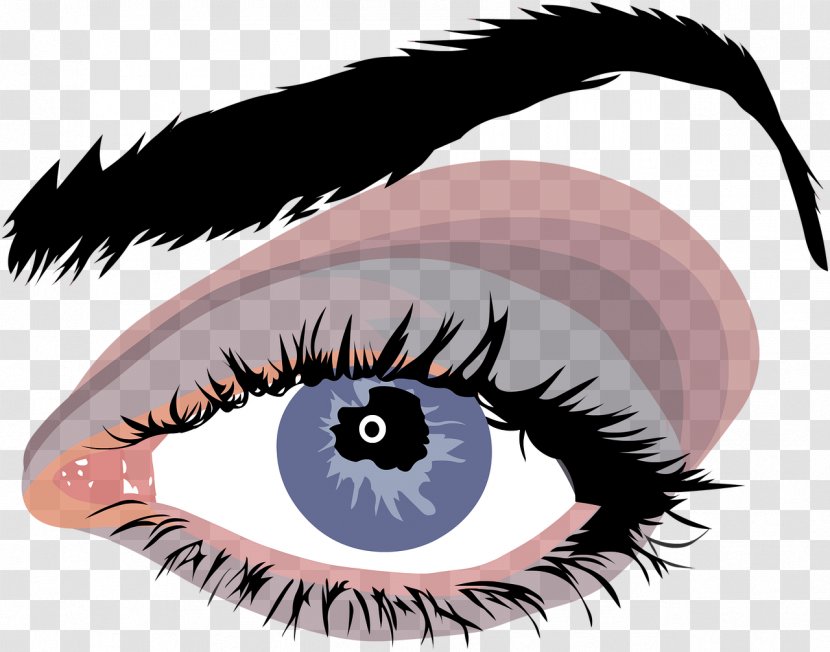 Eye Color Eyebrow Human - Tree - Eyes Transparent PNG
