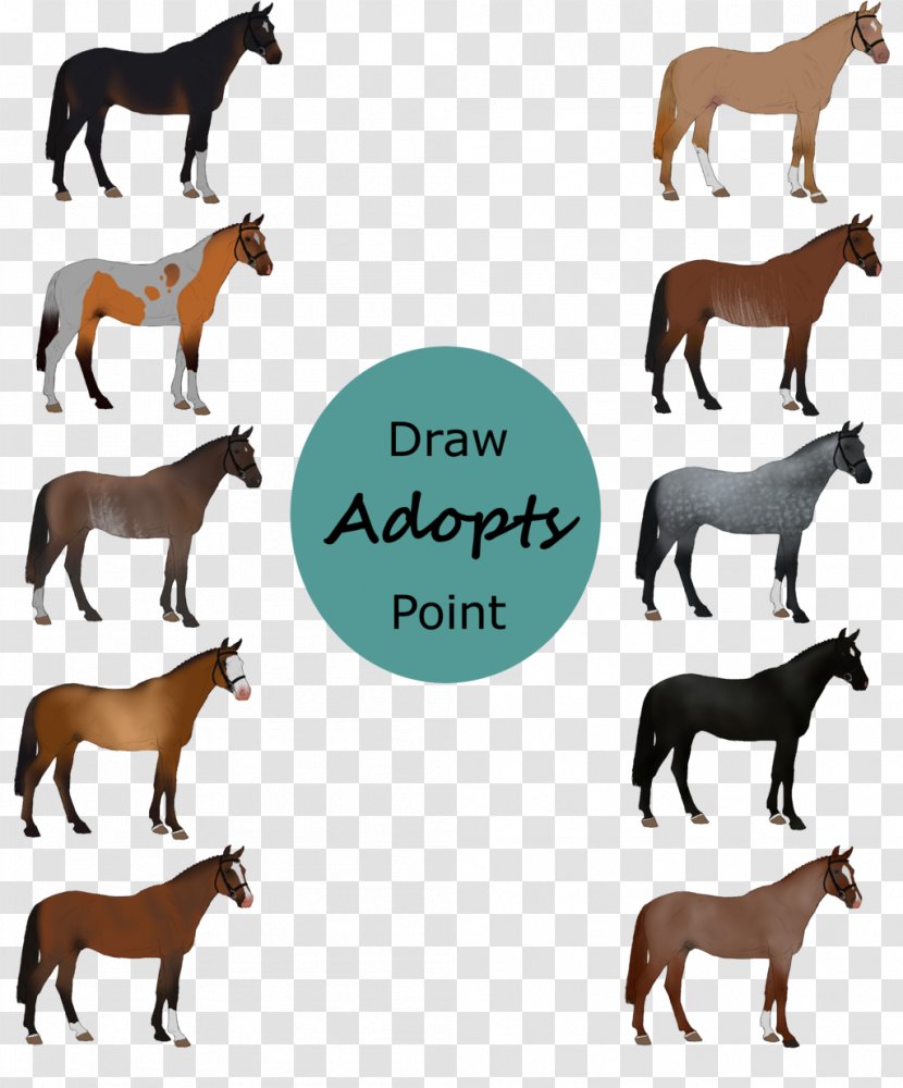 Mustang Andalusian Horse Appaloosa Carthusian Arabian Transparent PNG