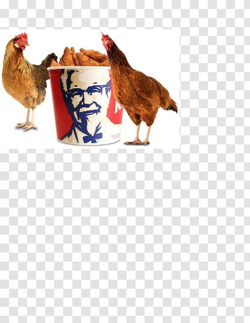 Colonel Sanders KFC Fried Chicken Fast Food - Kfc Transparent PNG