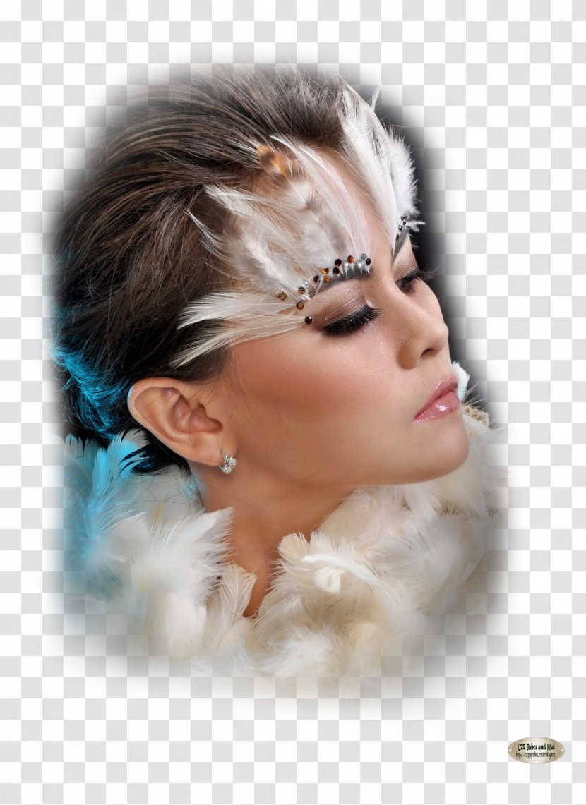 Eyebrow Feather Bird Cosmetics Permanent Makeup - Neck Transparent PNG