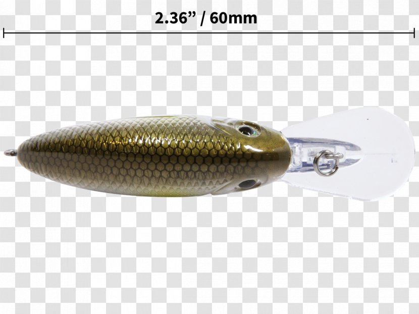 Spoon Lure Fish .cf - Bait Transparent PNG