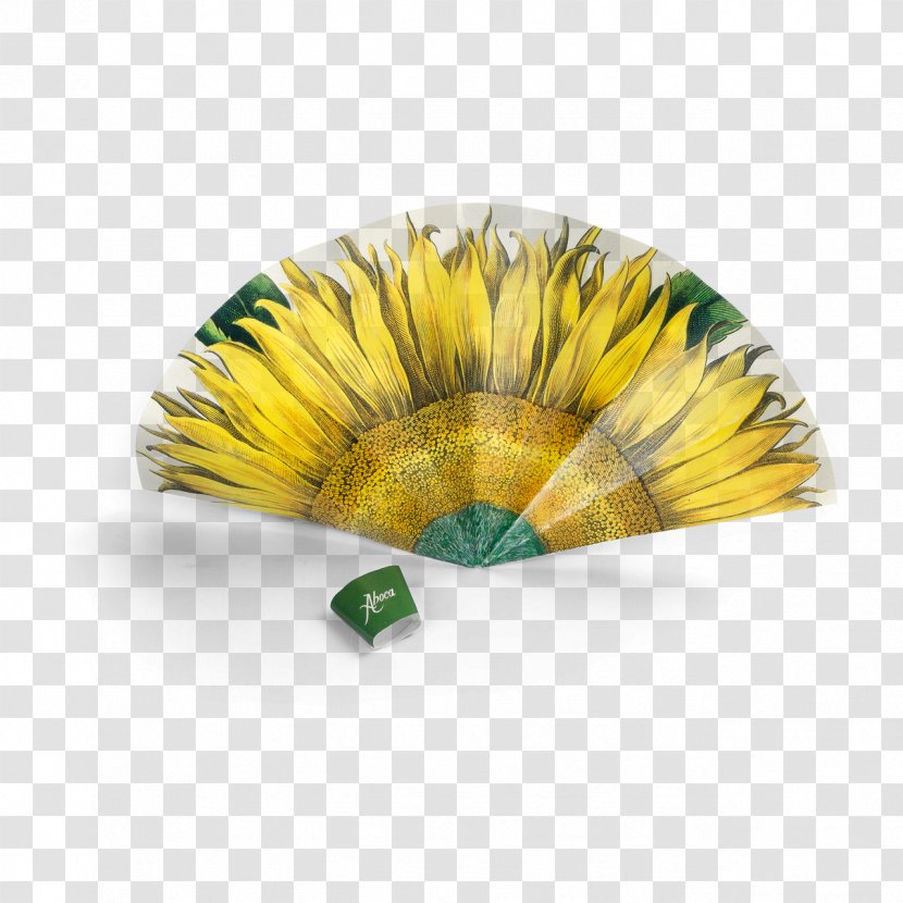Aboca Museum Paper Common Sunflower Fan - Plasticcoated - Flower Transparent PNG