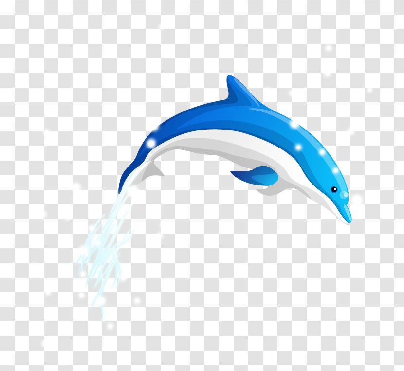 Download Wallpaper - Frame - Vector Diving Dolphin Transparent PNG