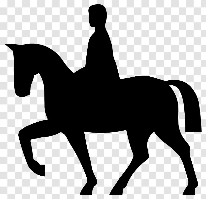 Mustang Equestrian Horse&Rider Clip Art - Rearing Transparent PNG