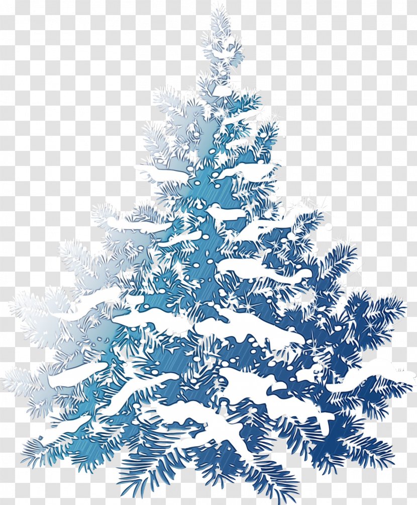 Christmas Tree - Oregon Pine - Fir Spruce Transparent PNG