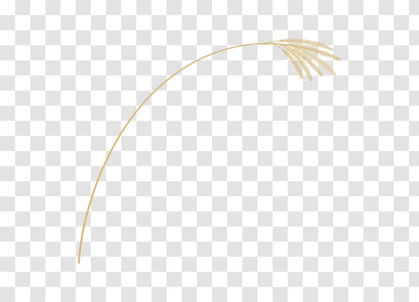 Product Design Line Feather - Beige - Fashion Accessory Transparent PNG