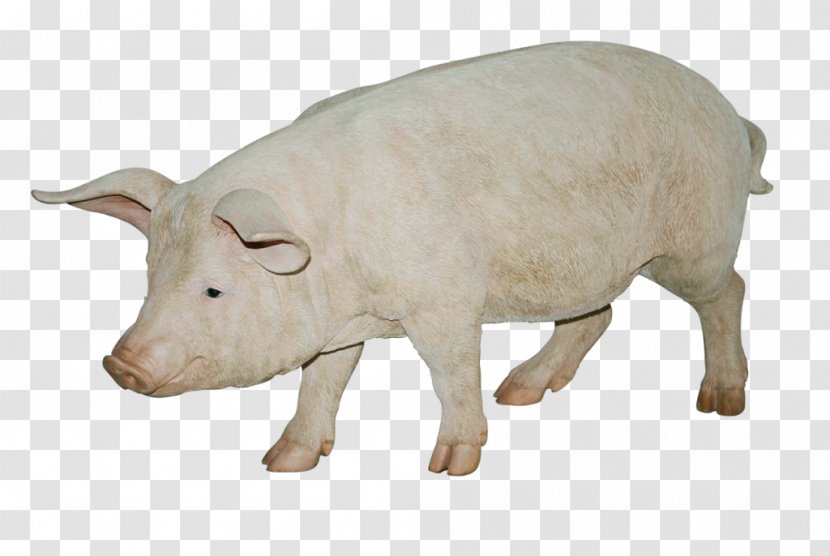 Domestic Pig Transparency Clip Art - Fauna Transparent PNG