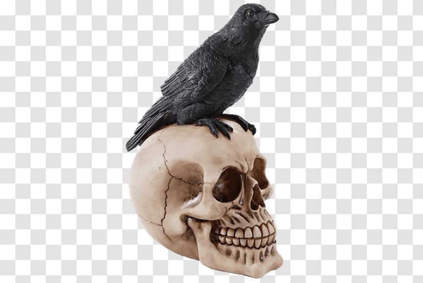 The Raven Common Rook American Crow Bird - Figurine Transparent PNG