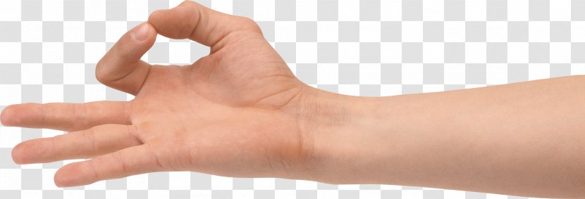 Finger Hand Clip Art - Upper Limb - Could Transparent PNG