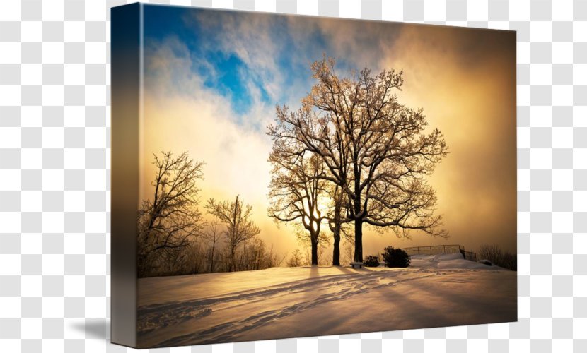 Painting Landscape Winter Sunset - Tree Transparent PNG