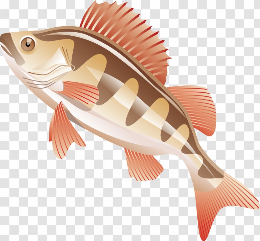 Fishing Rod Clip Art - Recreational Boat - Cartoon Fish Material Transparent PNG