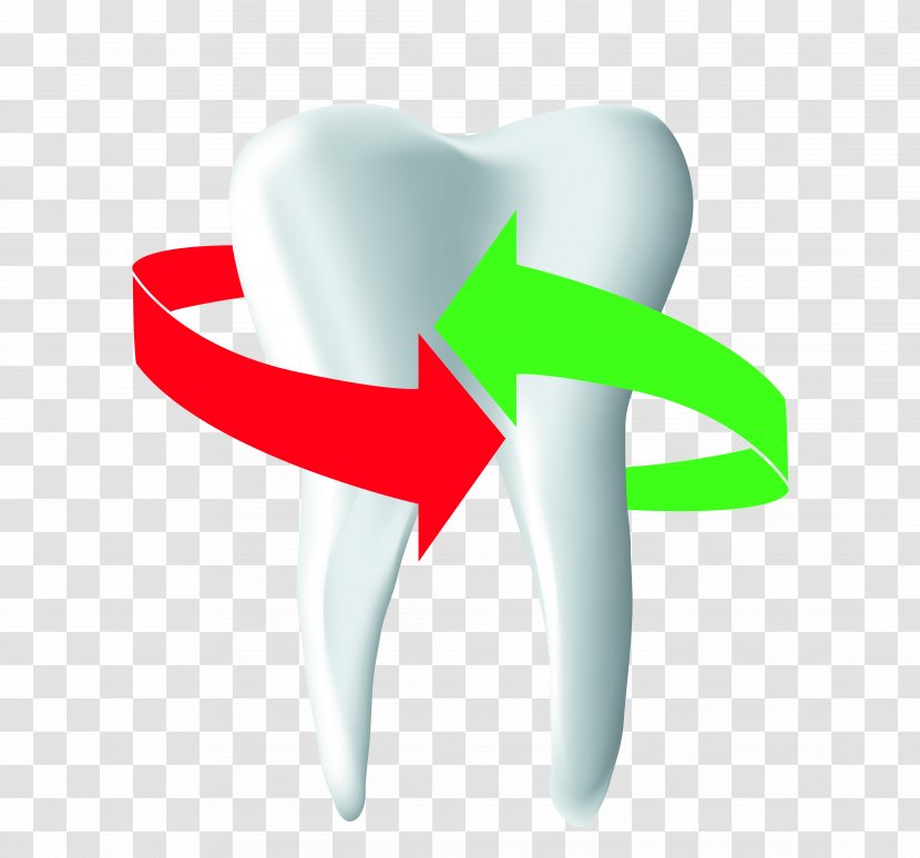 Tooth Thumb - Tree - The Dentist Transparent PNG