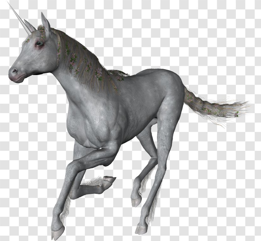 Horse Unicorn Horn DeviantArt - Art Transparent PNG