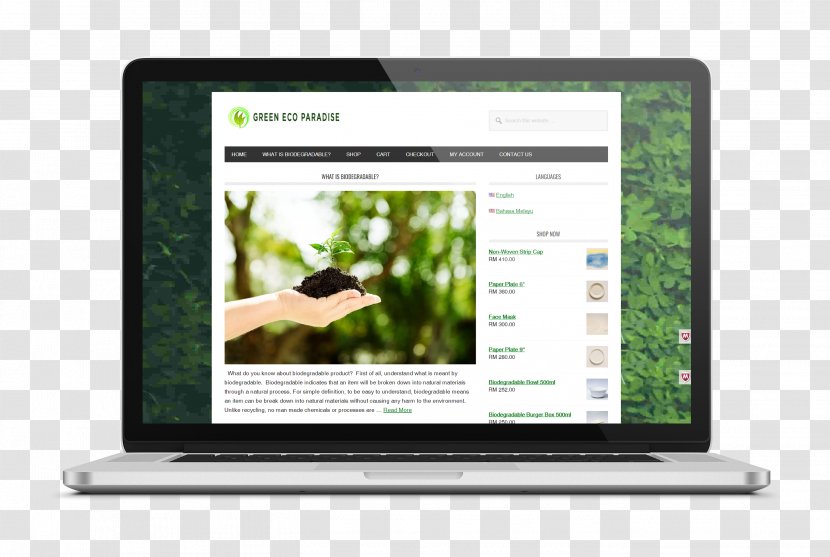 Green Eco Paradise Catering Penang DotCom Responsive Web Design Kedah - Electronic Business - PARADİSE Transparent PNG