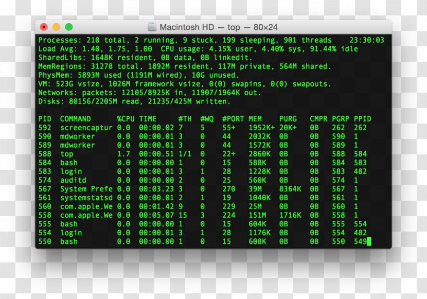 Terminal MacOS Operating Systems - Posix - Apple Transparent PNG