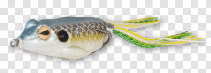 Castaic Keyword Tool Frog Topwater Fishing Lure Research - Trophy Technology Transparent PNG
