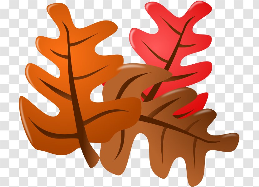 Autumn Leaf Color Clip Art - Drawing - Big Leaves Transparent PNG