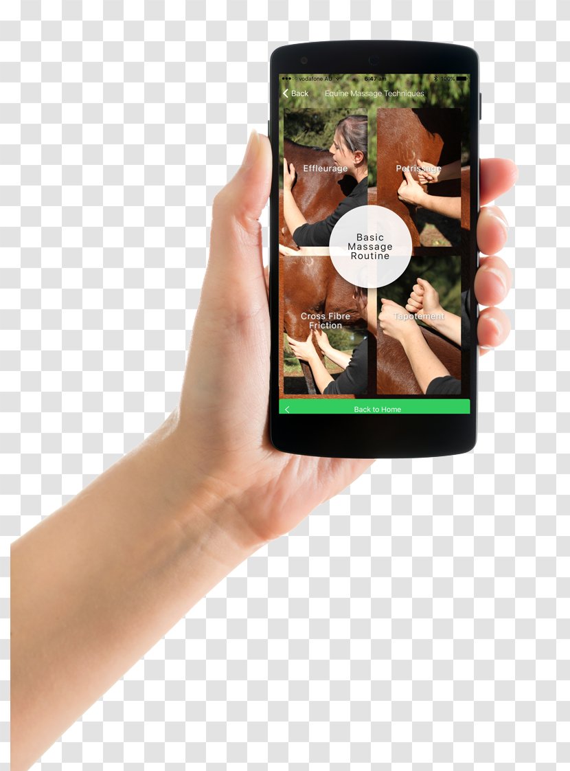 Smartphone Equestricare Course Equine Evaluation Afterpay - Finger Transparent PNG