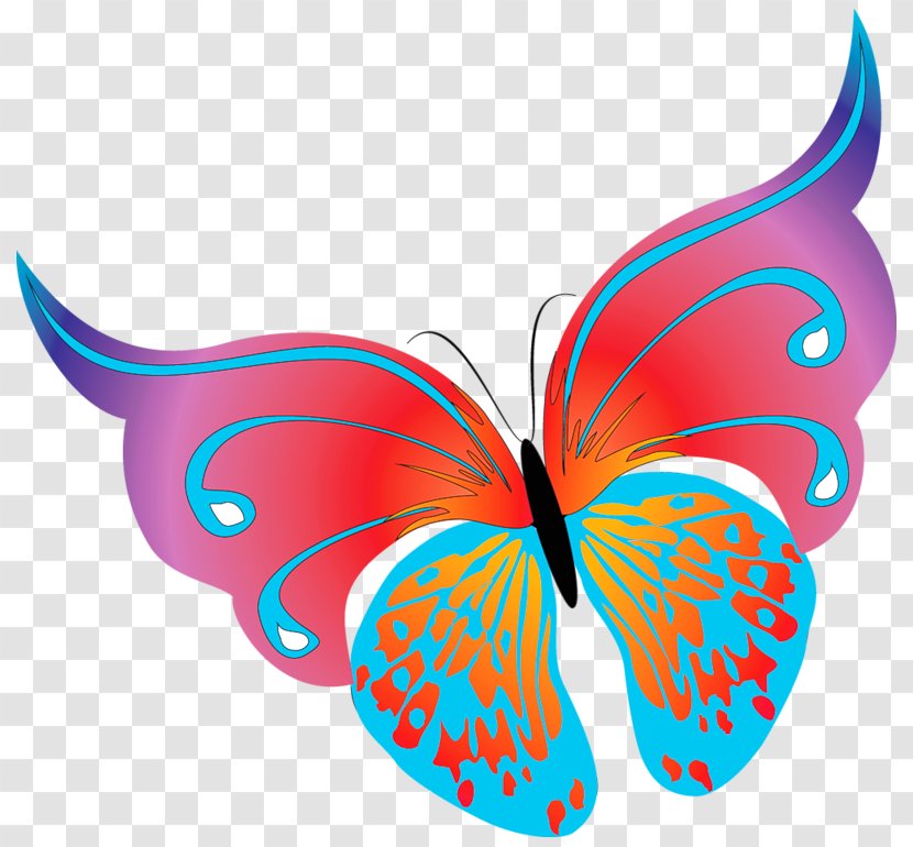 Butterfly Clip Art - Wing - Painted Transparent Clipart Transparent PNG