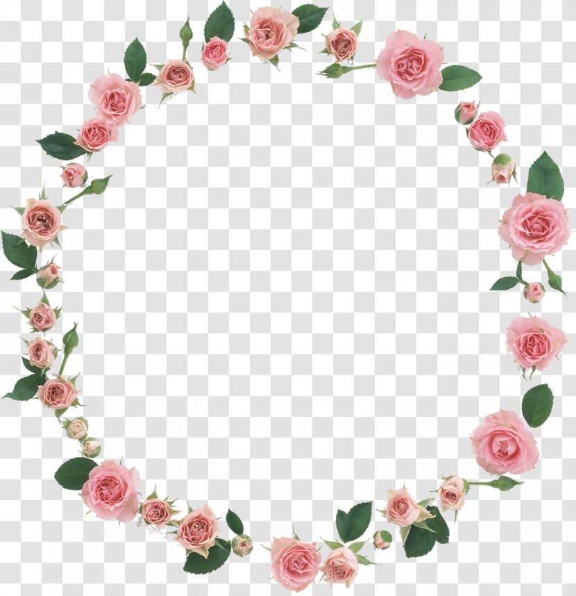 Picture Frames YouTube Flower Anakin Skywalker Luke - Rose Order - Floral Frame Transparent PNG