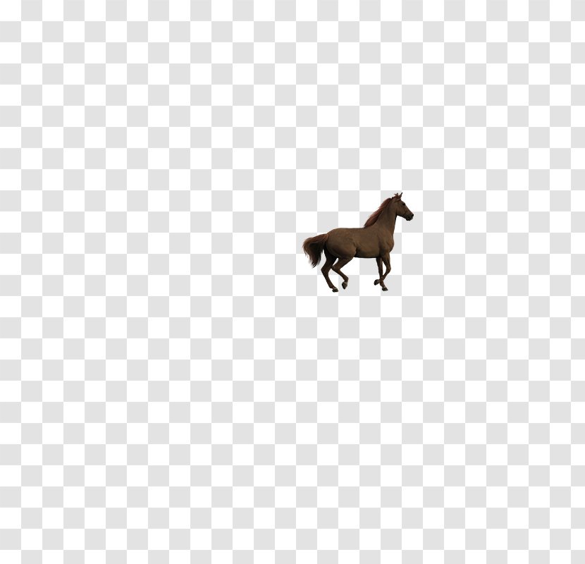 White Black Animal Font - And - Running Horse Transparent PNG