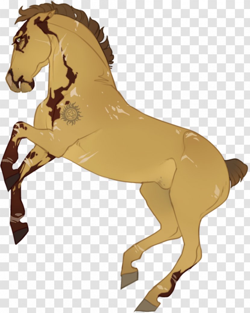 Mule Mustang Foal Stallion Colt - Organism Transparent PNG