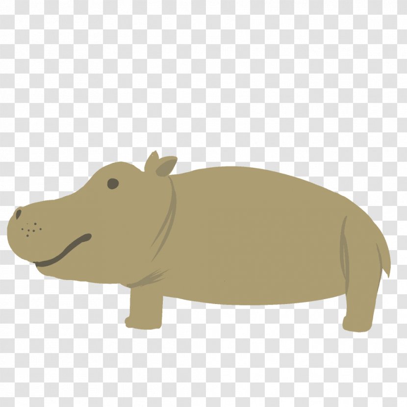 Pig Fauna Snout Transparent PNG
