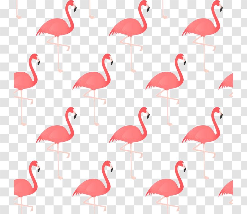 Flamingo Bird Drawing - Red - Flamingos Transparent PNG