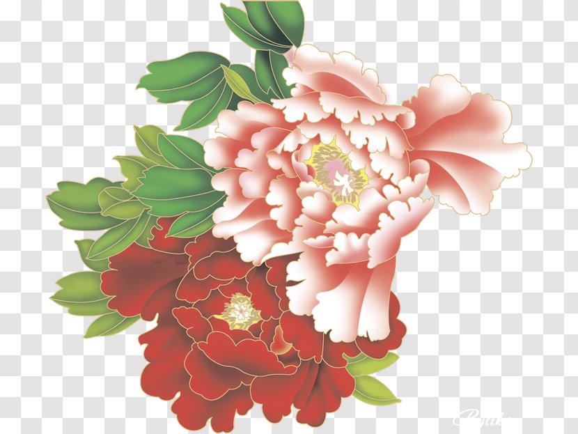 Flower Moutan Peony Clip Art - Rose Family - Peonies Transparent PNG