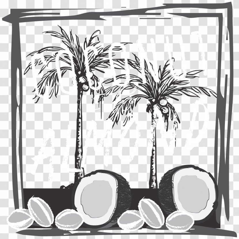 Carbonated Water Almond Drink Coconut - Artwork Transparent PNG