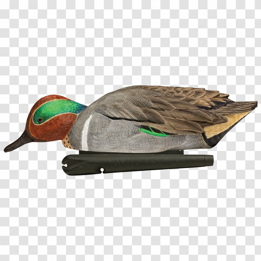 Mallard Duck Decoy Goose - Teal Transparent PNG