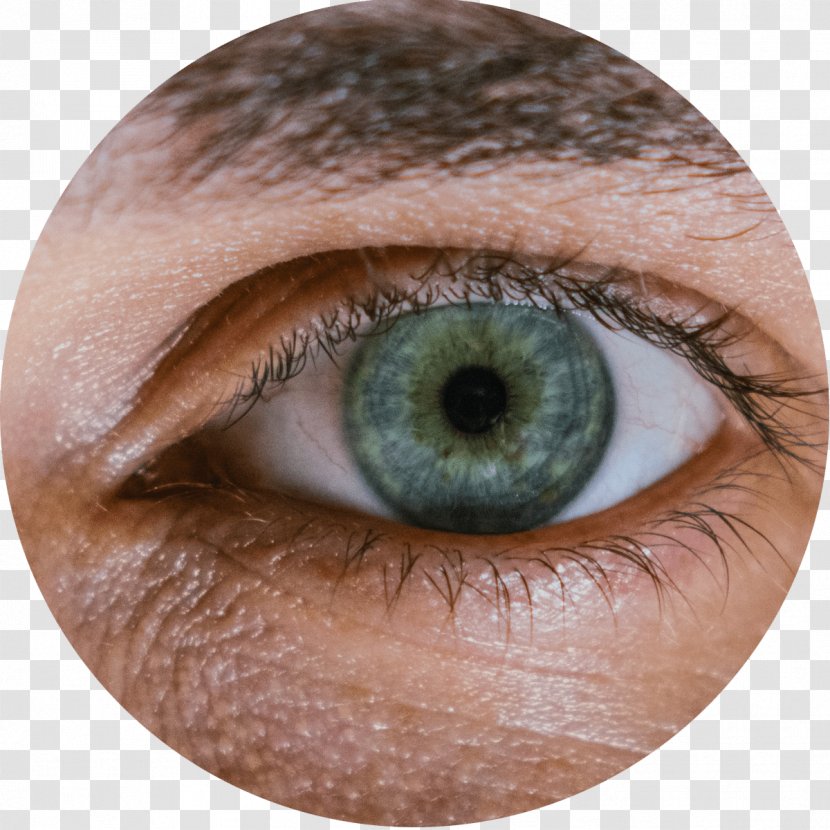 Human Eye Examination Visual Perception Pupil - Cartoon - Eyelids Transparent PNG