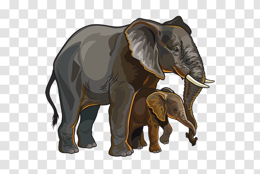 African Elephant Clip Art - Stock Photography Transparent PNG
