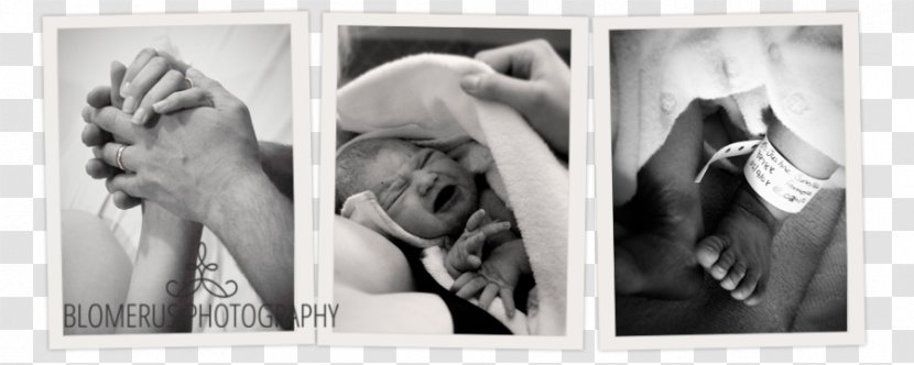 Finger Stock Photography Picture Frames - Tree - Birth Baby Transparent PNG