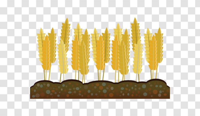 Wheat Cartoon - Plant - Vegetarian Food Transparent PNG