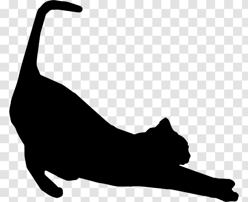 Cat Protection Society Of Victoria Silhouette Kitten Stretching Transparent PNG