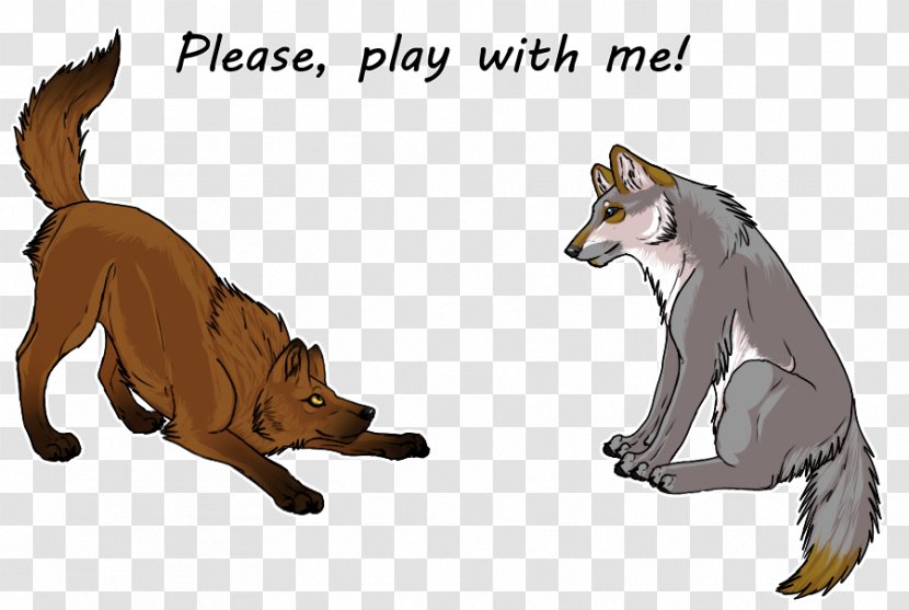 Whiskers Red Fox Dog Cat - Organism Transparent PNG