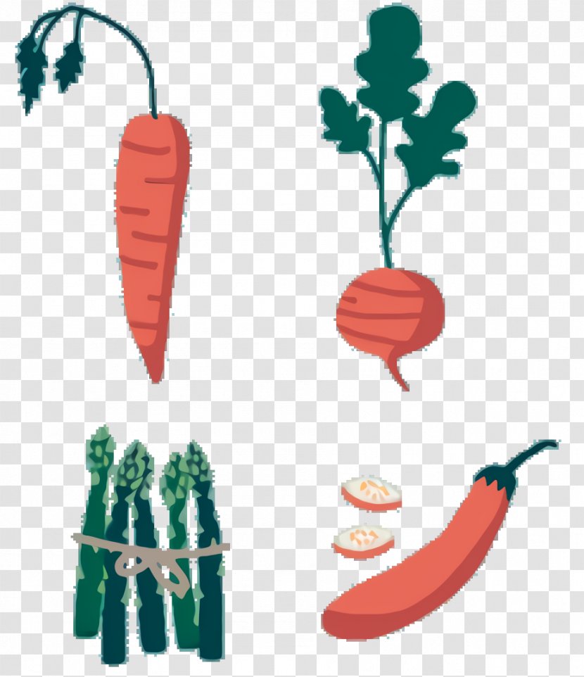 Tree Root - Food - Baby Carrot Transparent PNG