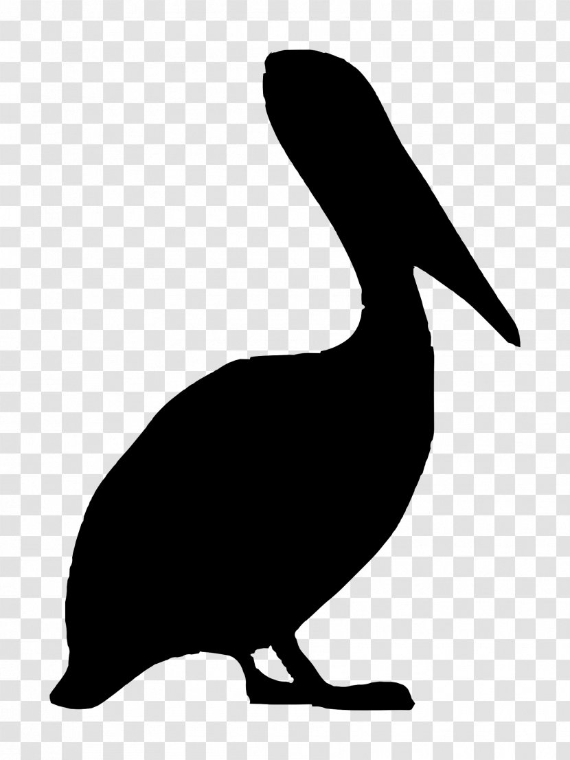 Bird Brown Pelican Clip Art - Wildlife Transparent PNG