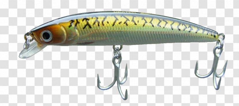 Perch Spoon Lure Osmeriformes Fish AC Power Plugs And Sockets - Fishing Bait Transparent PNG