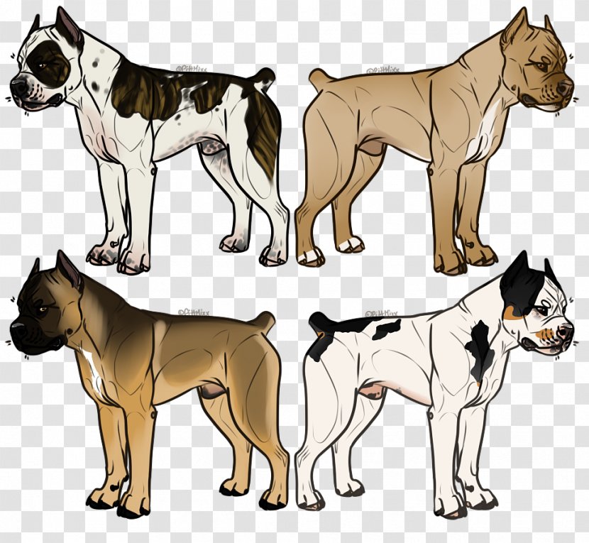 Ancient Dog Breeds - Breed Group Transparent PNG