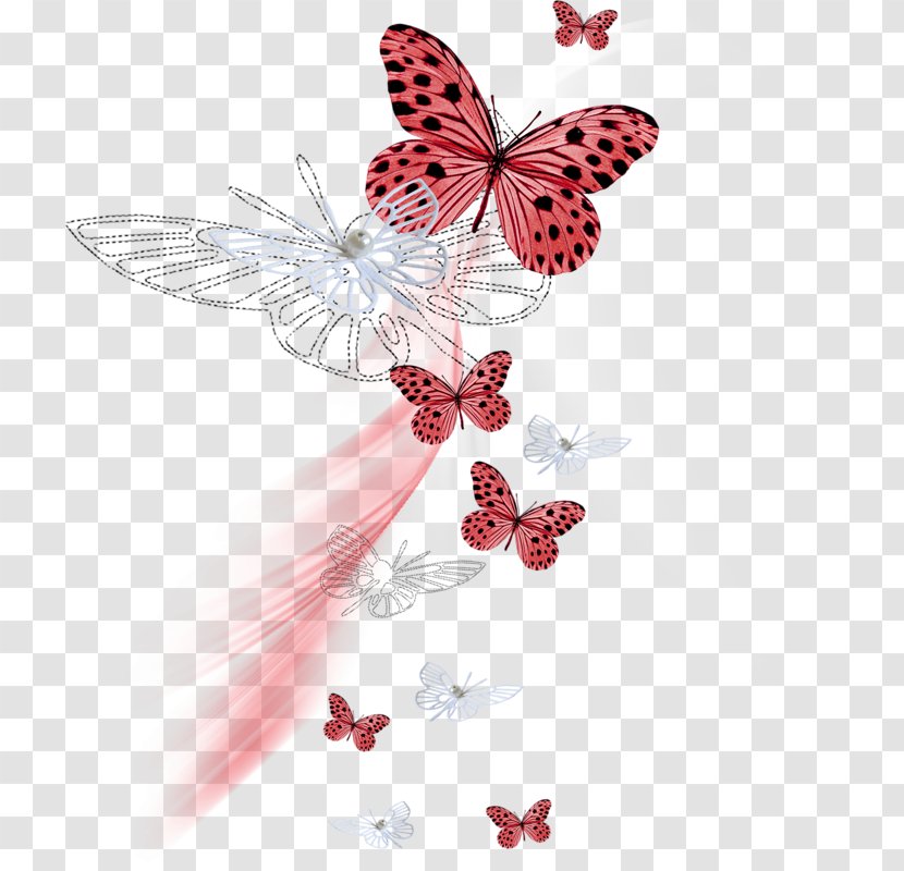 Pine Butterflies And Moths Color - Heart - Papillon Transparent PNG