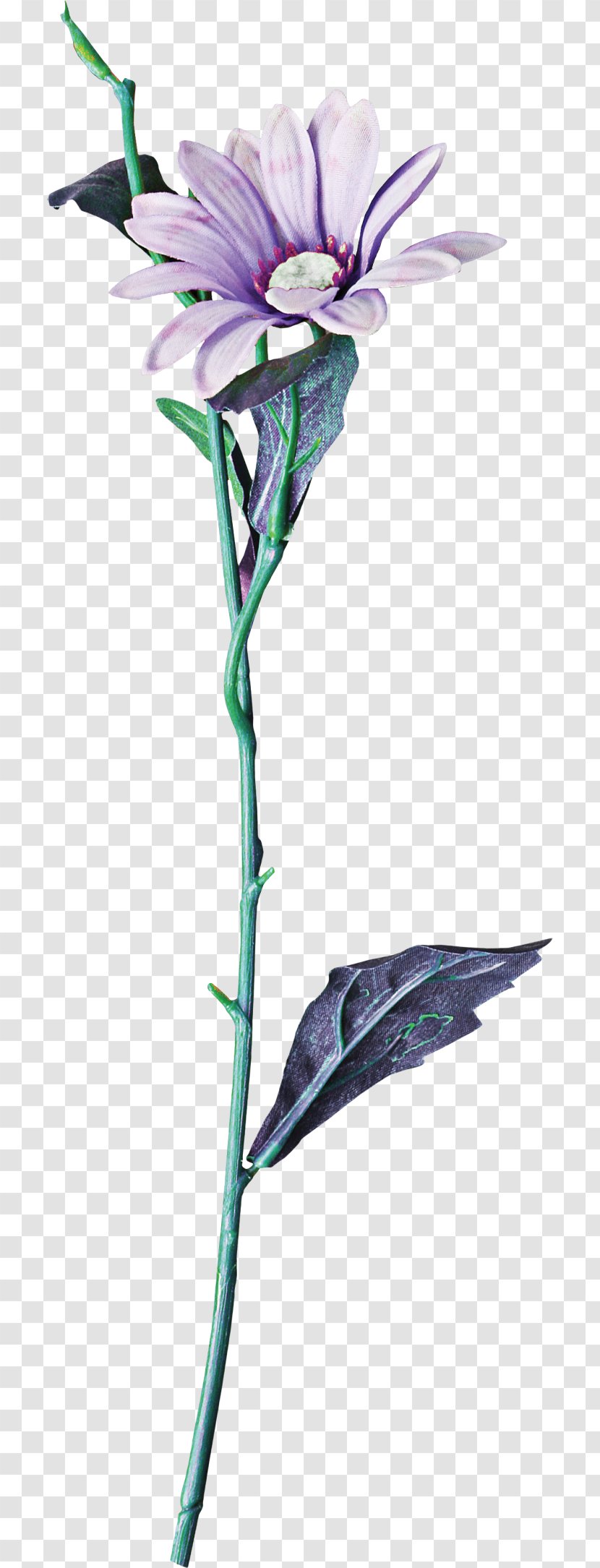 Cut Flowers Floral Design Branch Plant Stem - Euclidean Flower Transparent PNG