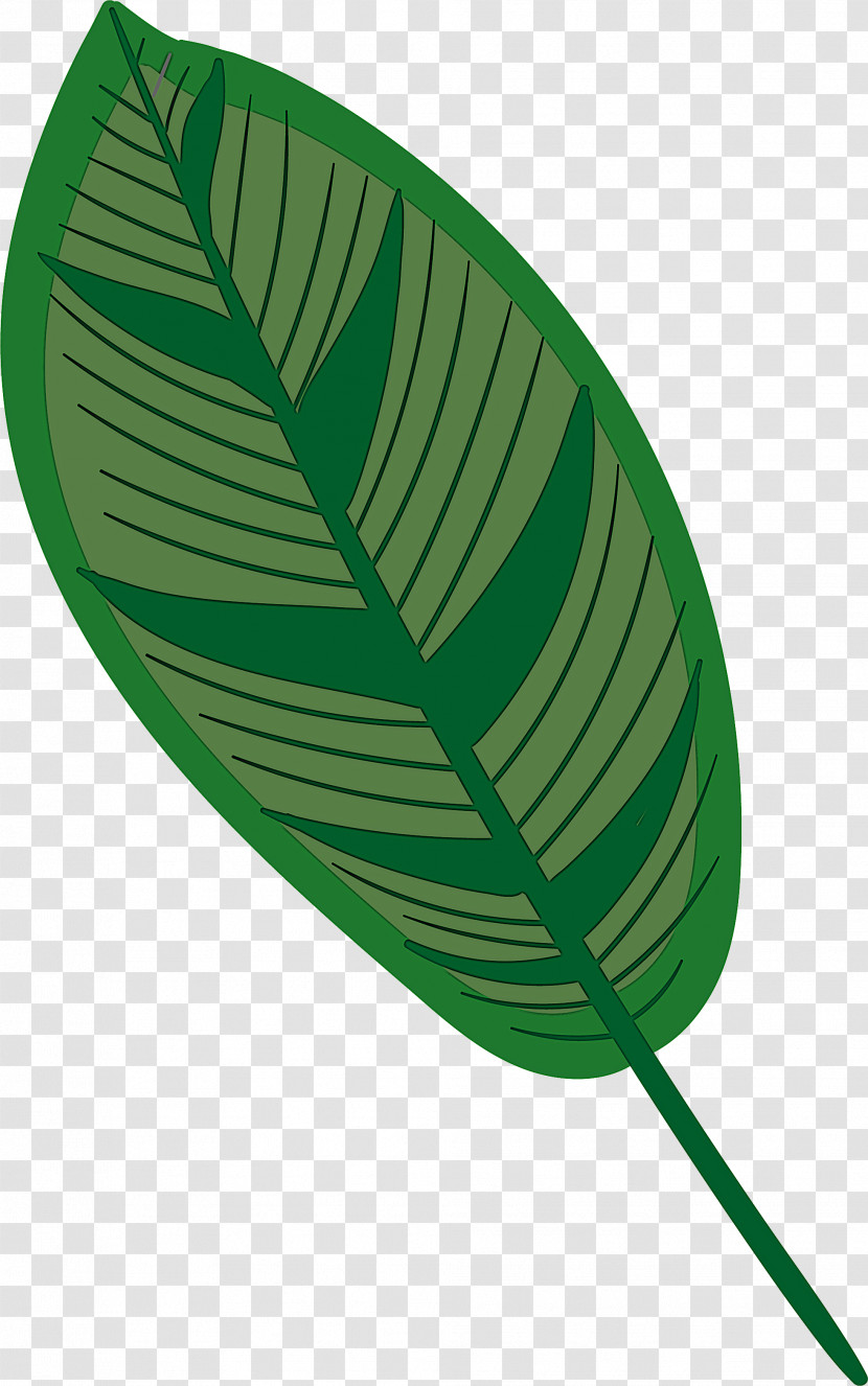 Leaf Transparent PNG