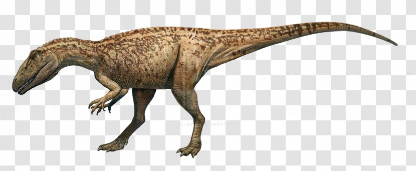 Eustreptospondylus Afrovenator Parasaurolophus Dinosaur King - Jurassic World Transparent PNG