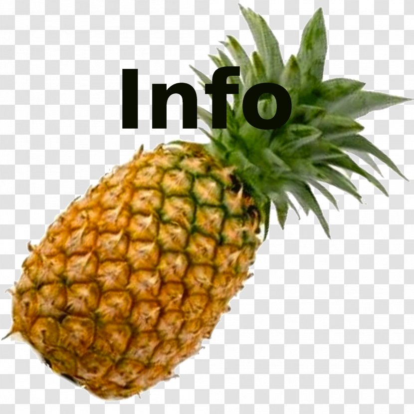 Pineapple Marmalade Fruit Food Vegetable - Auglis Transparent PNG
