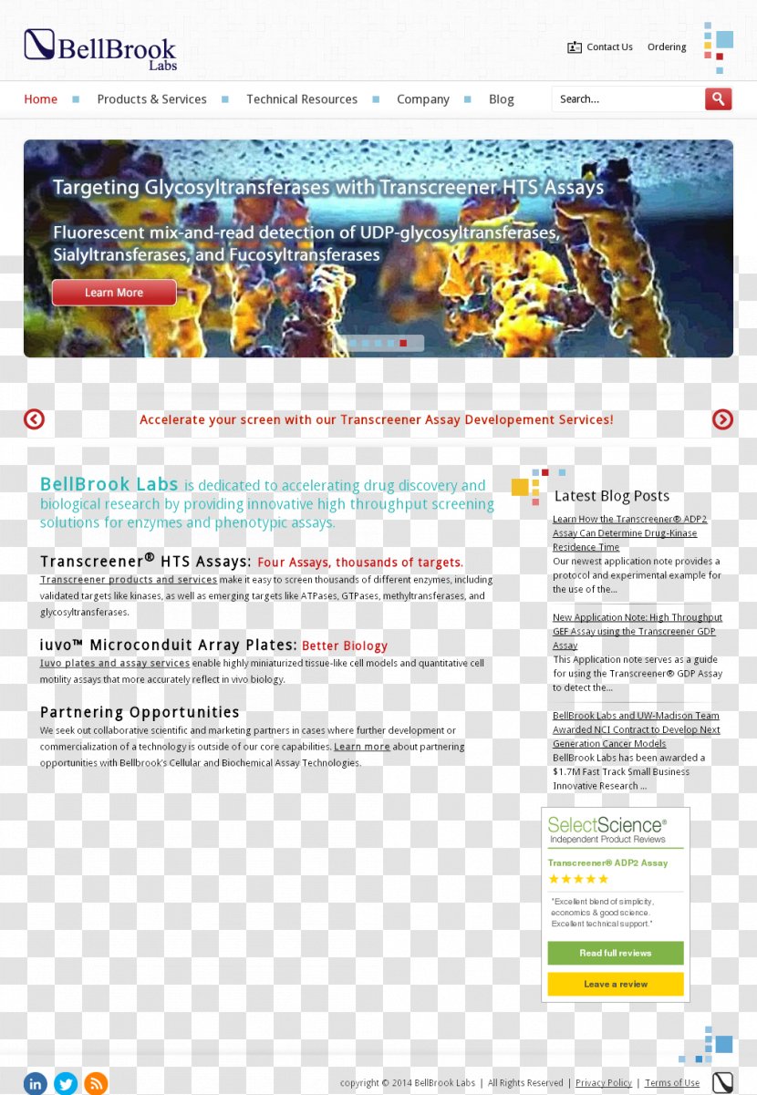Web Page Computer Software Product Screenshot World Wide - Media - Drug Discovery Services Transparent PNG