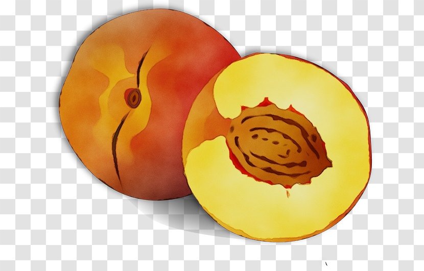 Watercolor Plant - Nectarine - Drupe Transparent PNG