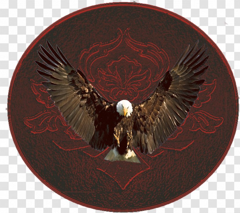 Copyright Product All Rights Reserved Price Maroon - Aztecs - Eagle Vinyl Graphics Transparent PNG